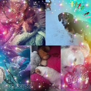 Meet your Posher, Molly